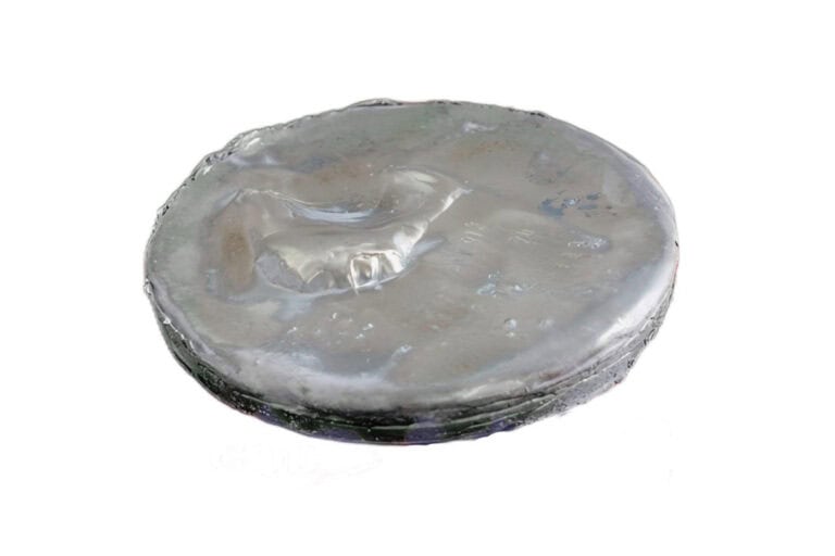 product image of mr-rem-00002 Dysprosium Metal